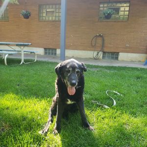 Meet your Posher, Craig